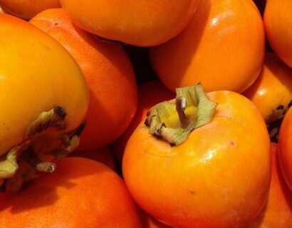 Diospyros  Kaki ‘Ragno’ - Kakiboom