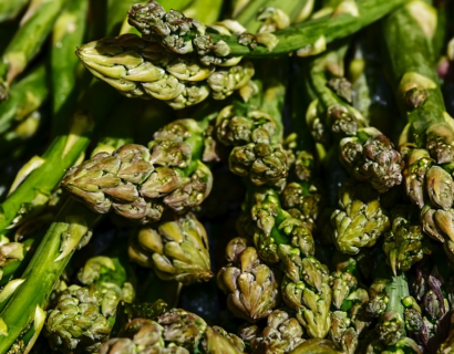 Asparagus officinalis ‘Mary Washington’ - groene asperge