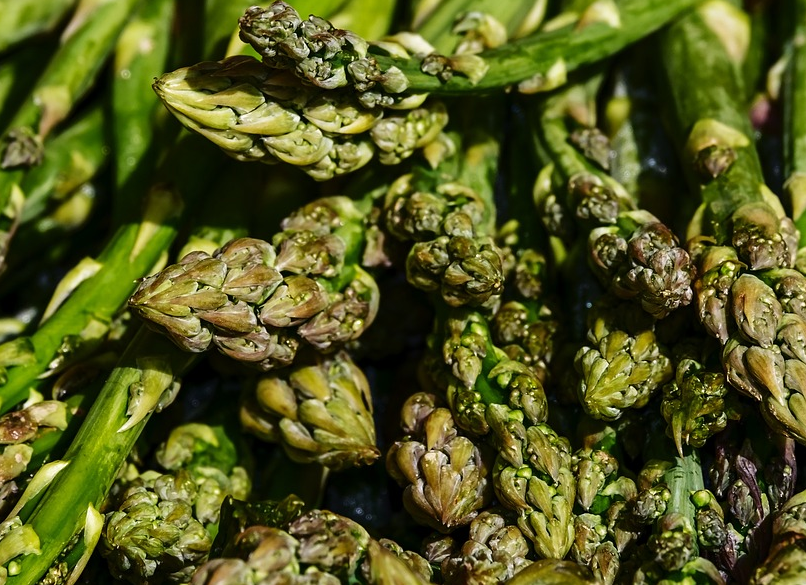 Asparagus officinalis ‘Mary Washington’ - groene asperge