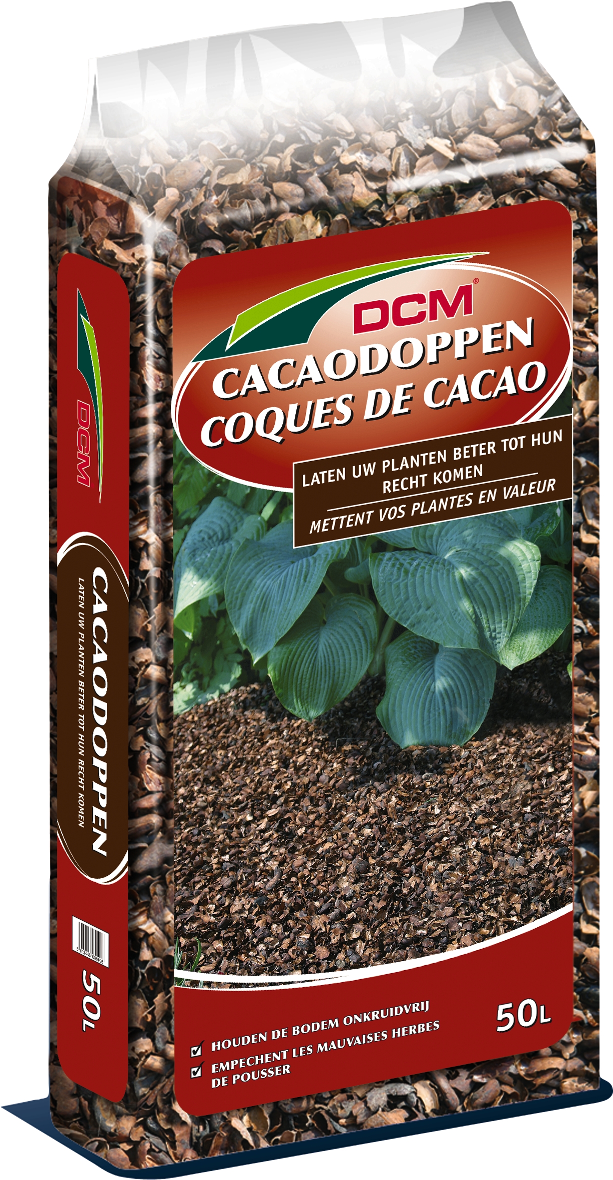 Cacaodoppen