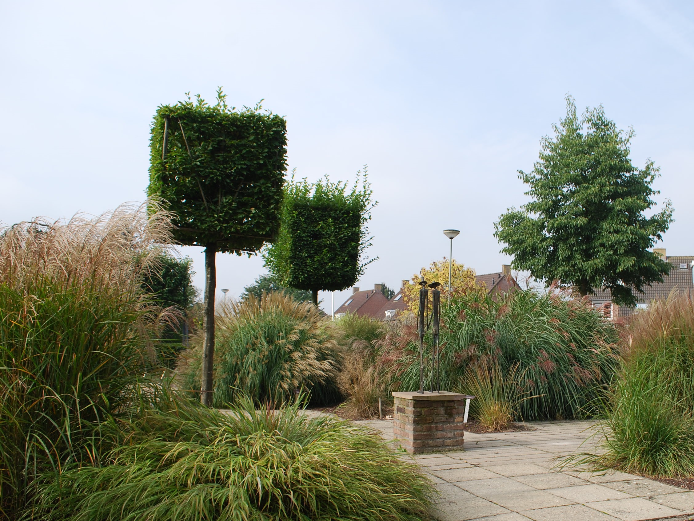 siergrassen planten