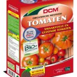 Ik wil graag tomaten planten, hoe pak ik dit aan?