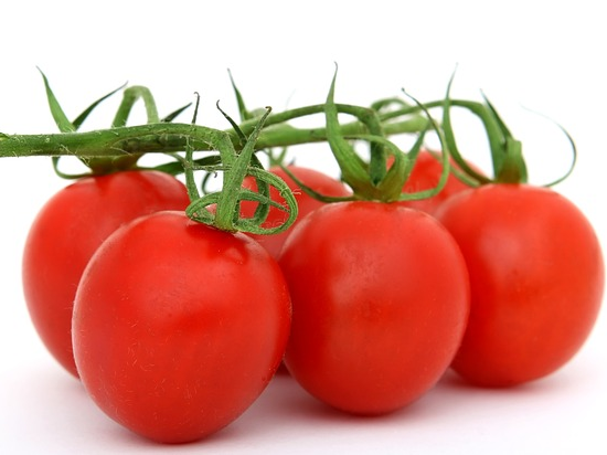 Italiaanse tomaat - 