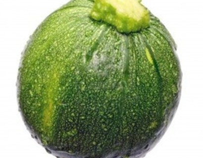 Ronde courgette - rabarber