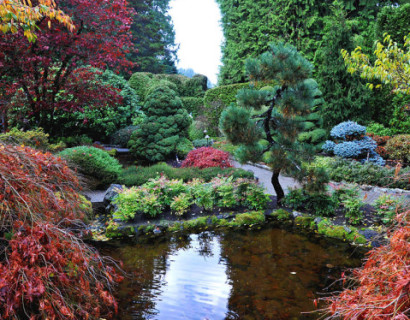 Hoe leg ik een Japanse tuin aan?