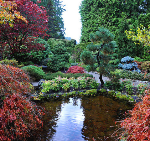 Verrassend Hoe leg ik een Japanse tuin aan? | Maréchal AM-16