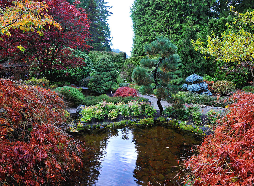 Uitgelezene Hoe leg ik een Japanse tuin aan? | Maréchal AU-18