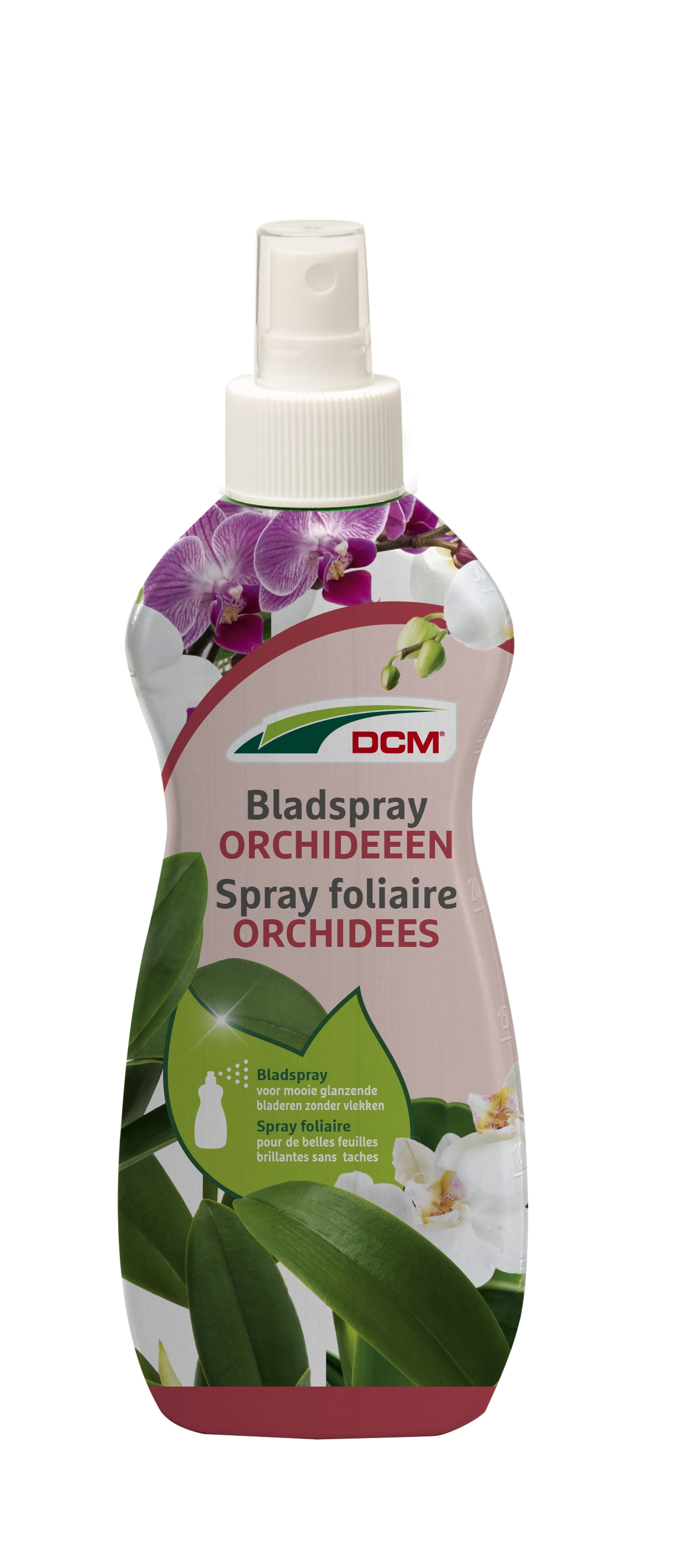  Dcm bladspray orchideeën.