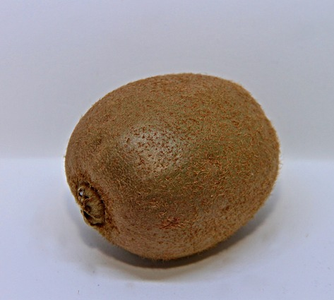 Actinidia chinensis - Kiwi
