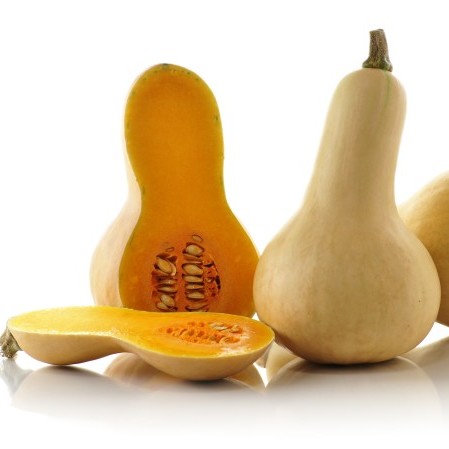 Pompoen Butternut - 