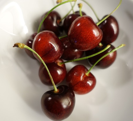 Prunus cer. ‘Noordkriek’ - Zure kers, kriek