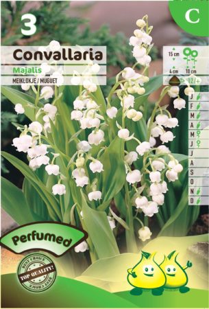 Convallaria majalis - Meiklokje