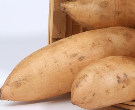 Ipomoea batatas - Zoete aardappel of bataat