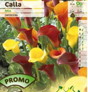 Calla mix - Aronskelk
