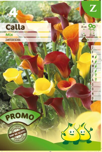 Calla mix - Aronskelk