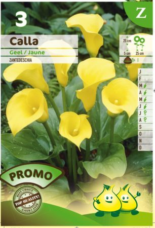 Calla geel - Gele Aronskelk