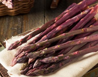 Asparagus officinalis ‘Purple’ - Paarse Asperge