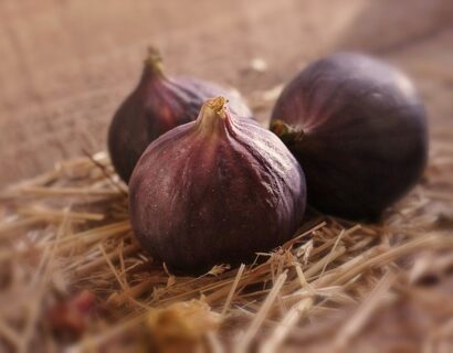 Ficus carica ‘Brogiotto nero’ - Vijg