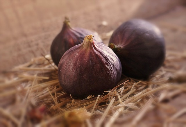 Ficus carica ‘Brogiotto nero’ - Vijg