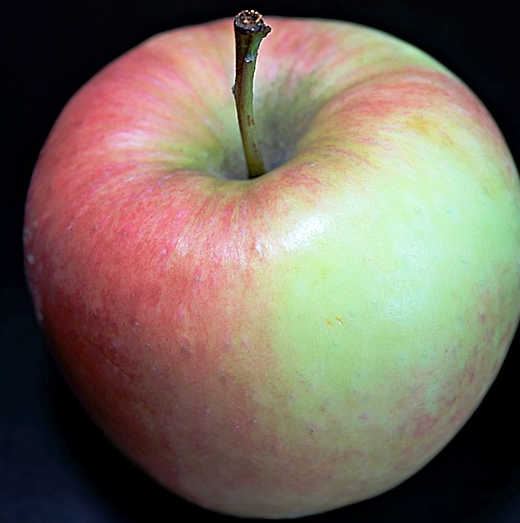 Malus domestica ‘Keuleman’ - Appel