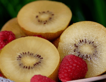 Actinidia chinensis ‘Golden Kiwi’
