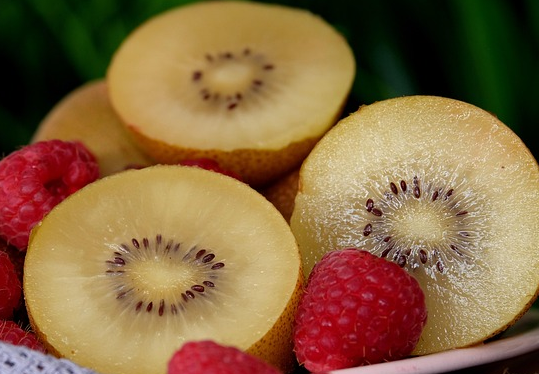 Actinidia chinensis ‘Golden Kiwi’ - Gele kiwi of de straalstempel