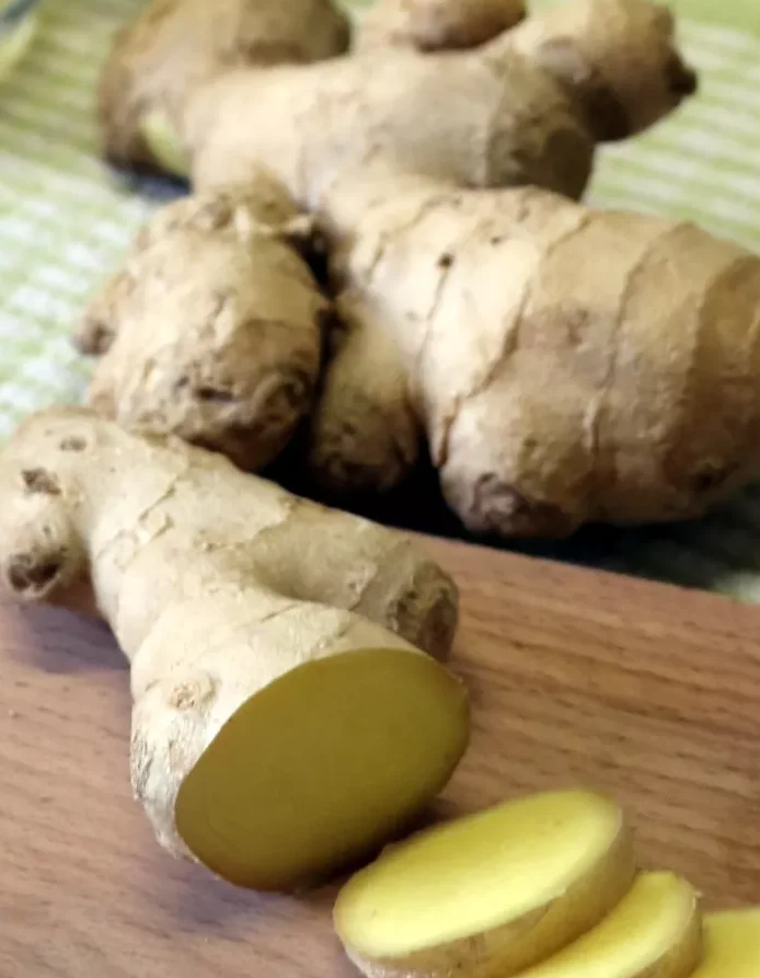 Zingiber Officinalis - Gember
