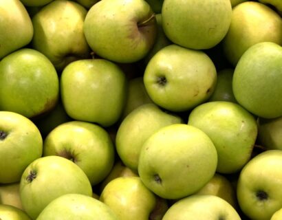 Malus domestica ‘President van Dievoet’ Halfstam - Appelboom